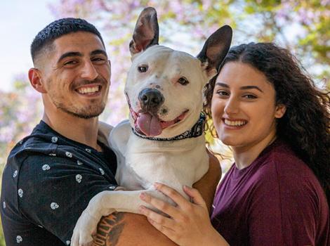 Pit-bull-foster-adoption-BooEricMegSedrakyan-LF-9I9A7320.jpg