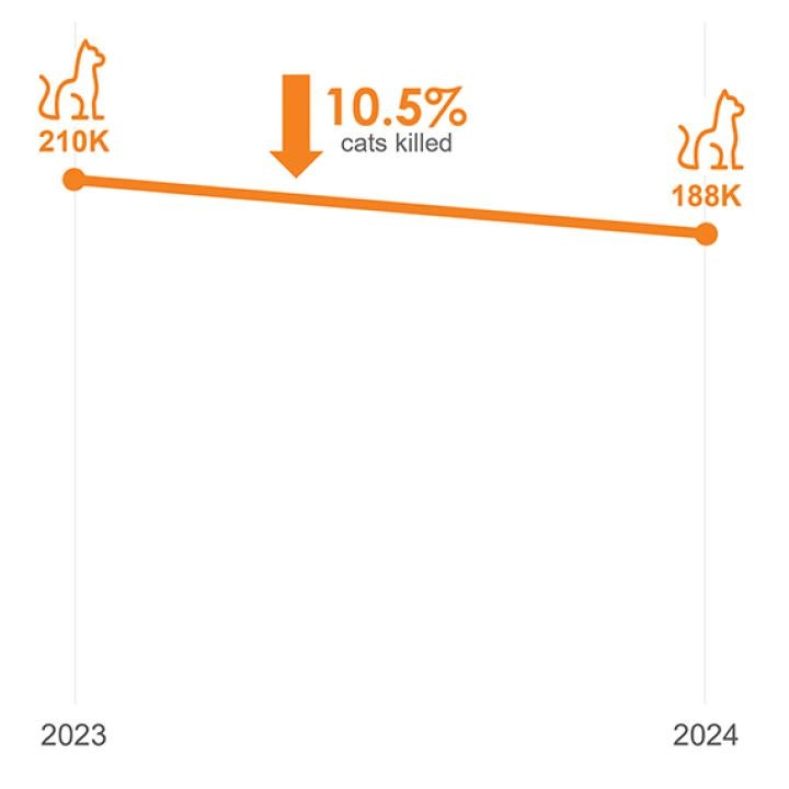 Decreasing graph showing "The number of cats killed in shelters decreased by 10.5% in 2024"