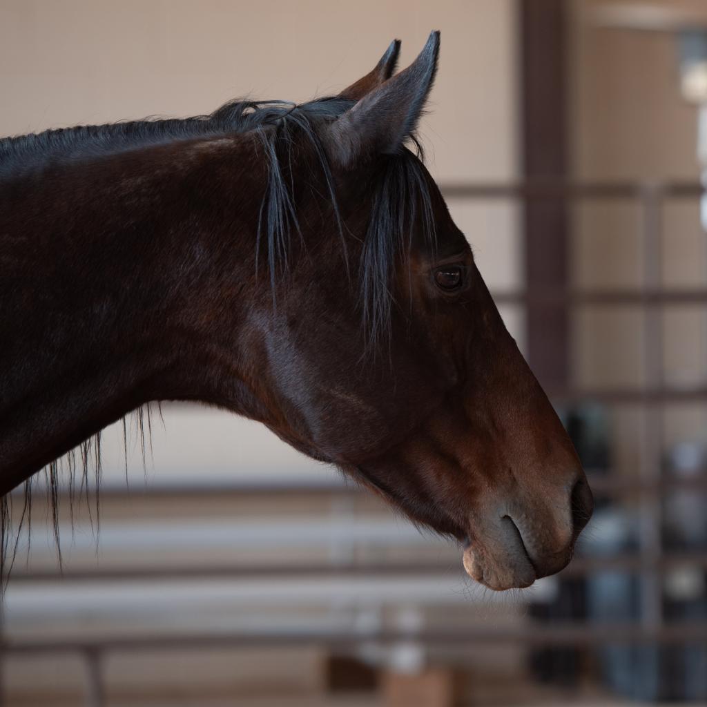 Leroy Brown - 