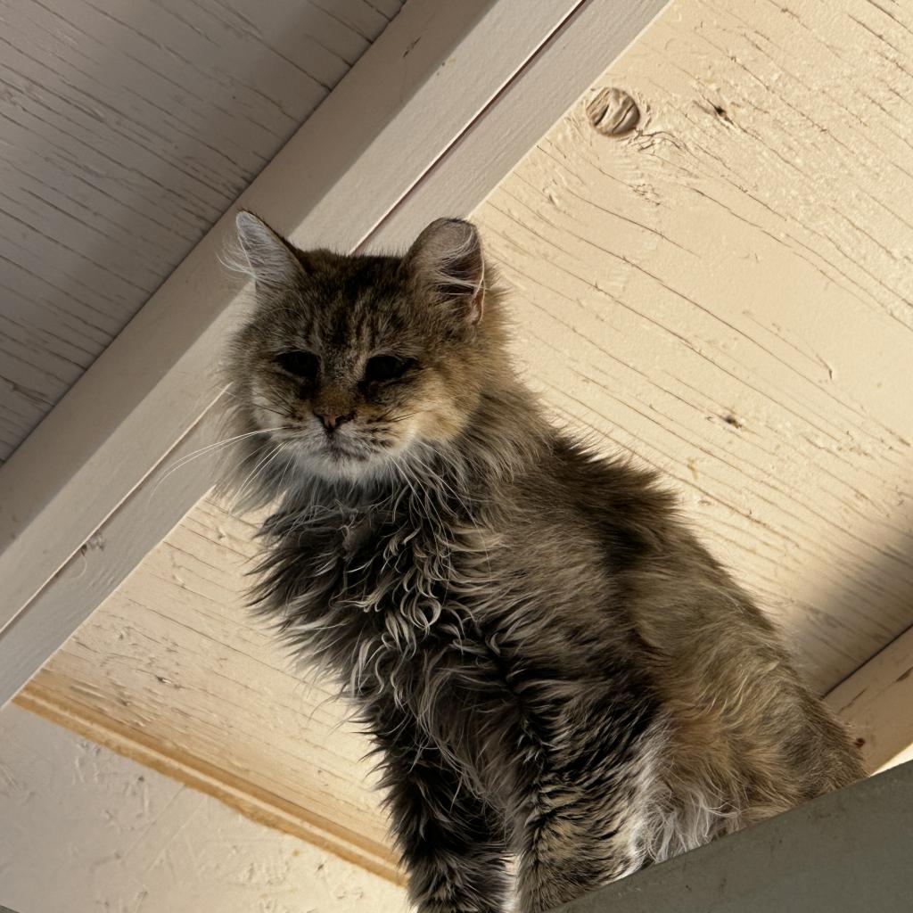 Ragnar - 