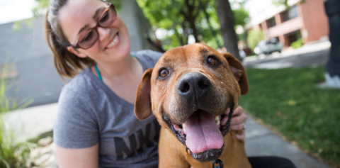dog and caregiver